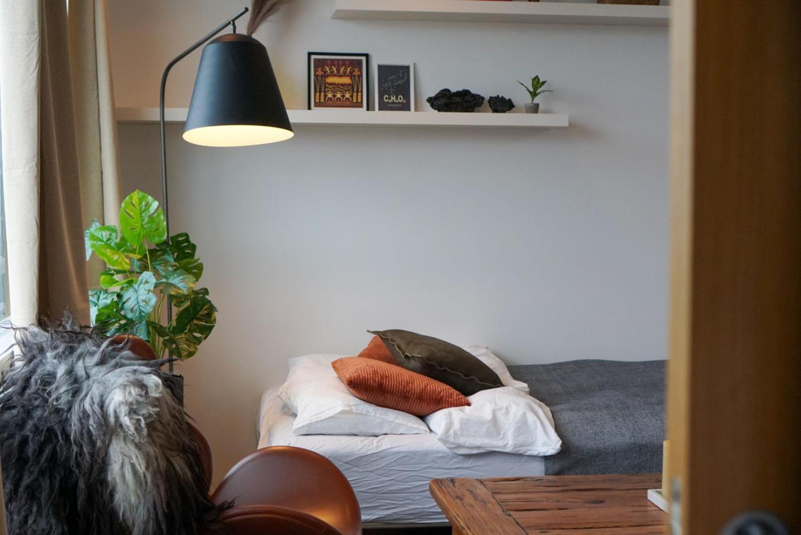 Laugavegur Penthouse Lejlighed Reykjavík Eksteriør billede